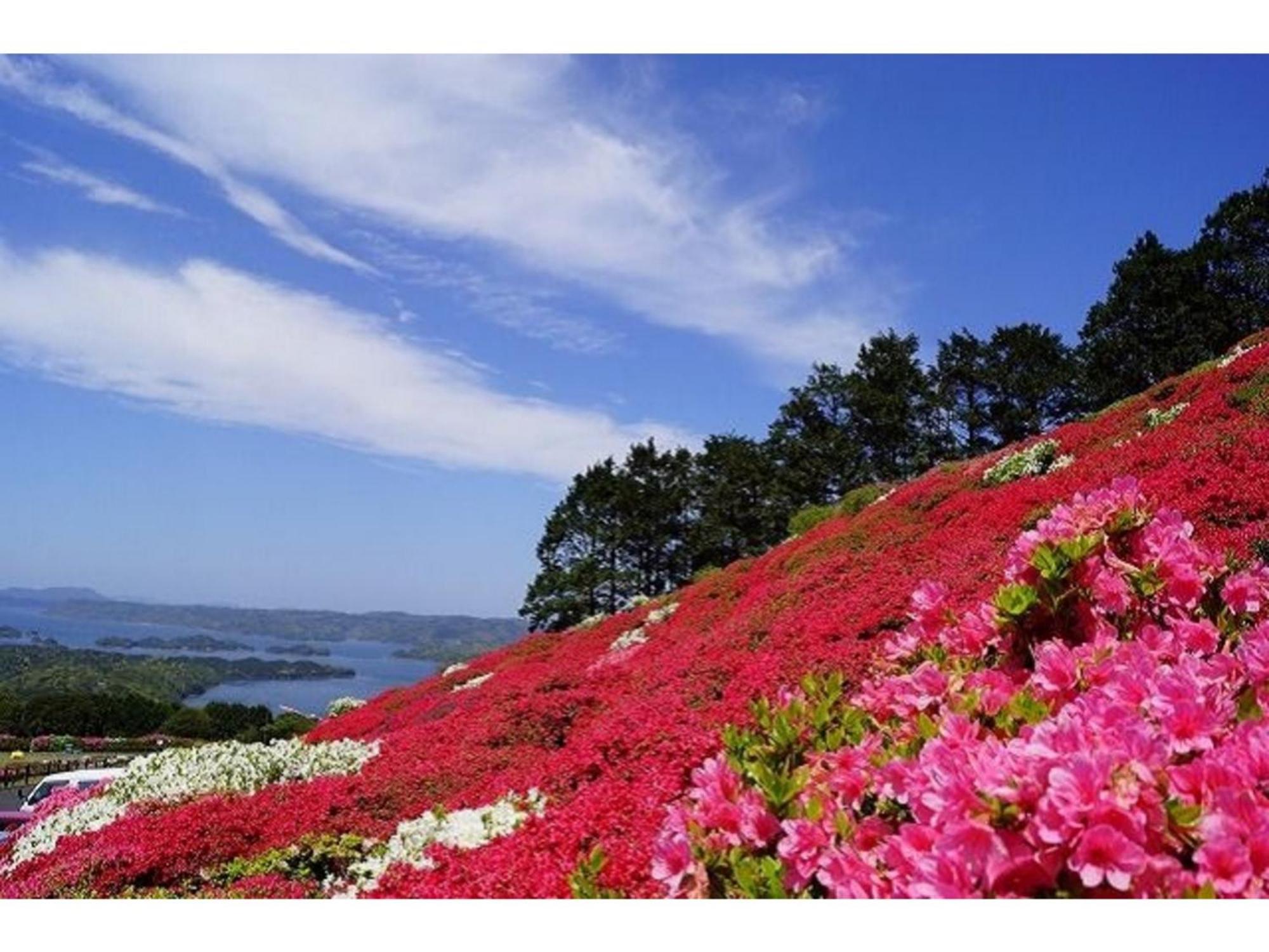The Paradise Garden Sasebo - Vacation Stay 03128V Exterior photo